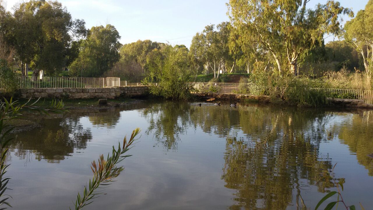 צילום: רשות נחל הירקון