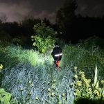 צילום: דוברות יכ"ל