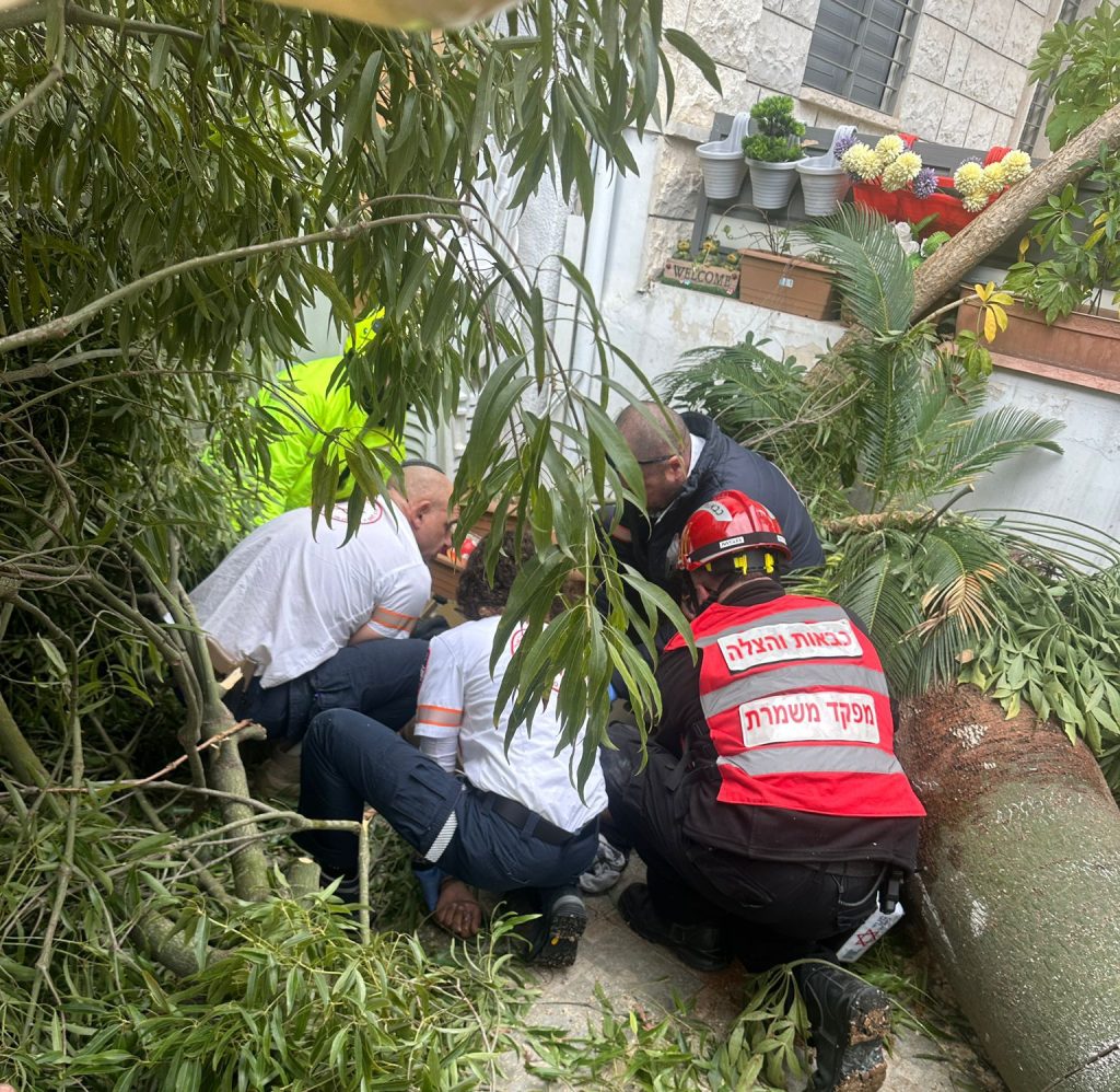 אדם חולץ מתחת עץ כבד צילום: דוברות כבאות והצלה לישראל