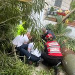אדם חולץ מתחת עץ כבד צילום: דוברות כבאות והצלה לישראל