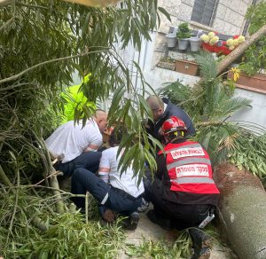 אדם חולץ מתחת עץ כבדצילום: דוברות כבאות והצלה לישראל 