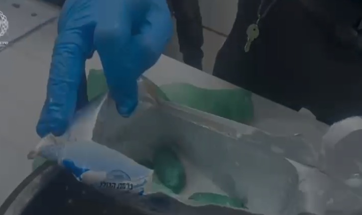 צילום: דוברות שירות בתי הסוהר