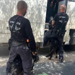 השוטרים בפעולה במבצע משטרתי לאיתור שוהים בלתי חוקיים בתל אביב, צילום: דוברות משטרת ישראל