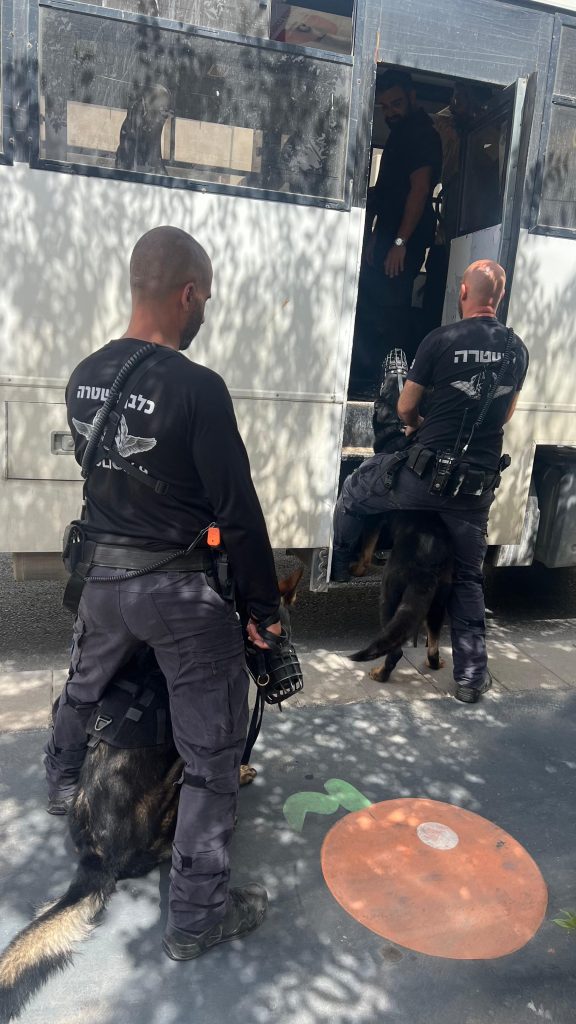השוטרים בפעולה במבצע משטרתי לאיתור שוהים בלתי חוקיים בתל אביב, צילום: דוברות משטרת ישראל