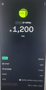 צילום מסך מאפליקצייה על העברת כסף